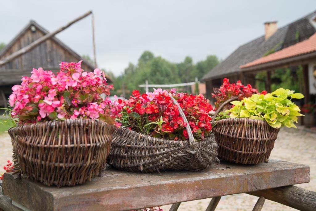 Gosciniec Folwark Nadawki Bed & Breakfast Sienkiewicze Екстериор снимка